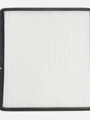 Coralfly Air Filter PA30269